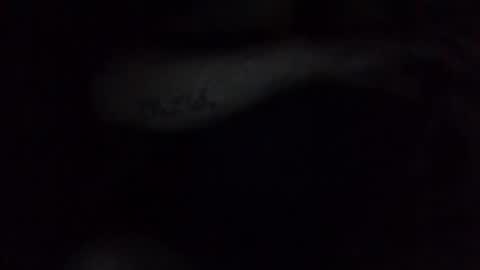 e-Bizl online show from 02/17/25, 03:15