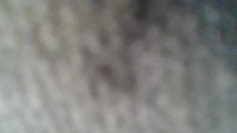 e-Bizl online show from 02/25/25, 10:37