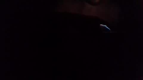 e-Bizl online show from 03/07/25, 06:57