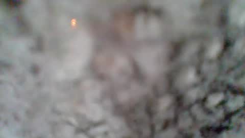 e-Bizl online show from 03/07/25, 01:18