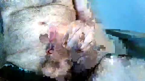gjustaguym online show from 05/30/26, 07:55