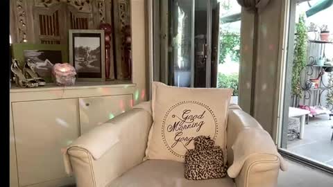 Snapshot of gl1tter_barbie chatting on 03/16/26, 01:04 Gl1tter Barbie online show from 03/16/26, 01:04