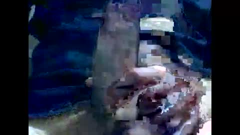 PencilDick online show from 12/02/24, 08:30