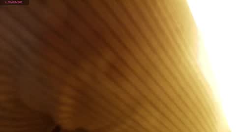 M A R T I N A  online show from 01/12/26, 07:19