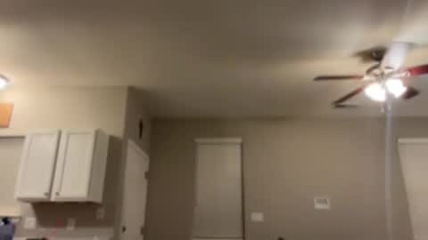 Snapshot of goddess_milaa chatting on 01/06/25, 10:24 Princess Miila BBC Daddy online show from 01/06/25, 10:24