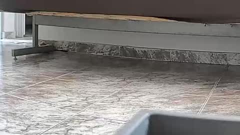 goddesshannahfeet_ online show from 04/07/26, 04:40