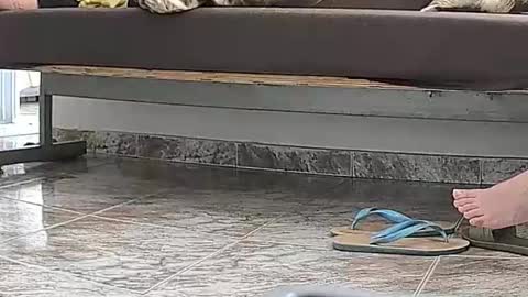 goddesshannahfeet_ online show from 04/13/26, 04:45