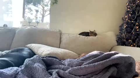 Snapshot of goddessmayvn chatting on 01/07/25, 11:03 GoddessMayvn online show from 01/07/25, 11:03