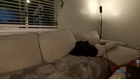 Snapshot of goddessmayvn chatting on 01/26/25, 07:32 GoddessMayvn online show from 01/26/25, 07:32