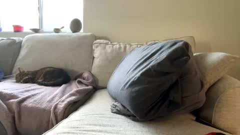 Snapshot of goddessmayvn chatting on 02/11/25, 04:46 GoddessMayvn online show from 02/11/25, 04:46