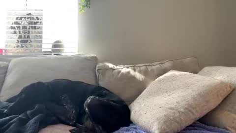 Snapshot of goddessmayvn chatting on 02/17/25, 09:52 GoddessMayvn online show from 02/17/25, 09:52