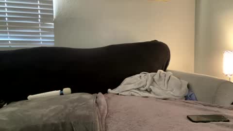 GoddessMayvn online show from 07/02/26, 02:33