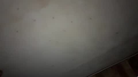 Snapshot of godseekingatheist chatting on 11/09/25, 01:59 godseekingatheist online show from 11/09/25, 01:59