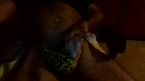 gojo885 online show from 01/13/25, 03:23