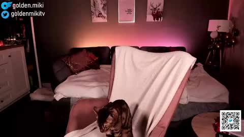 Shy in the streets but a freak in the sheets online show from 02/02/25, 06:15