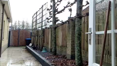   online show from 12/23/24, 12:41