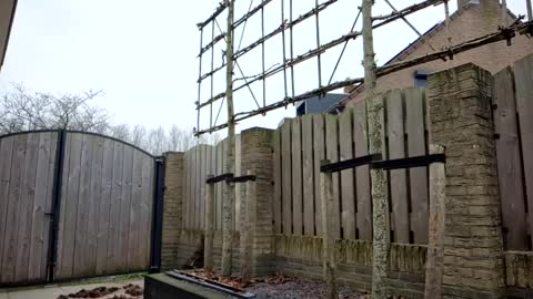   online show from 02/10/25, 10:09