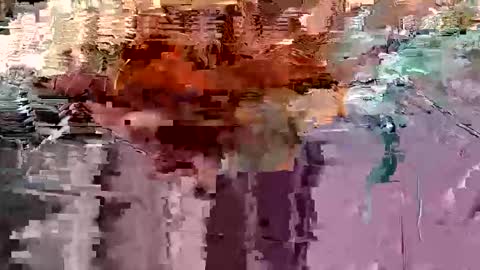 gonadalache online show from 11/17/25, 03:56