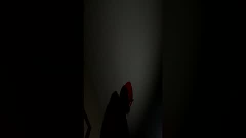 Snapshot of gooddickdude106428 chatting on 06/16/26, 11:46 gooddickdude106428 online show from 06/16/26, 11:46
