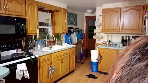 goodgirlcelestecat online show from 03/23/26, 10:30