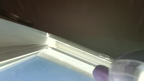 goosetrucker982440 online show from 09/30/25, 02:00