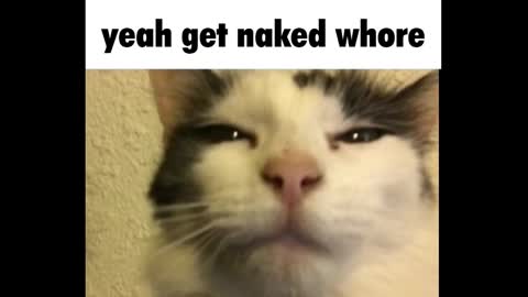 Amy online show from 03/03/25, 12:26