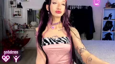    online show from 03/07/26, 01:46