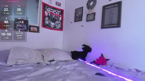 hi my name is Elizabeth nice to meet you online show from 05/15/26, 05:31