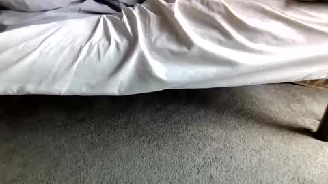 watch me stroke online show from 04/28/26, 04:34