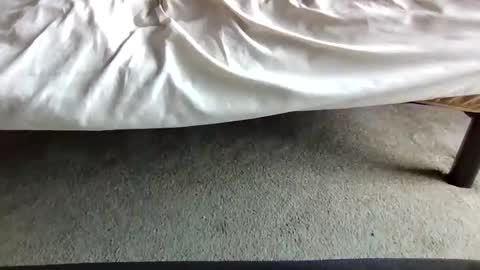 watch me stroke online show from 04/29/26, 07:09