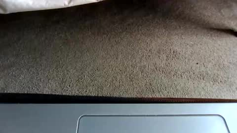 watch me stroke online show from 05/03/26, 08:37