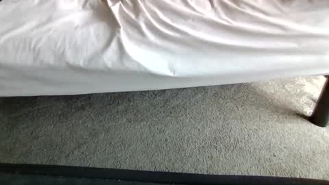 watch me stroke online show from 05/20/26, 02:56