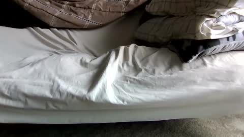 watch me stroke online show from 05/23/26, 04:00