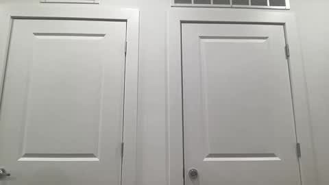 grace bailey online show from 02/04/26, 03:01