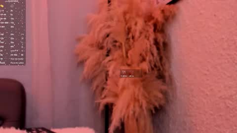 Grace online show from 11/04/25, 12:04