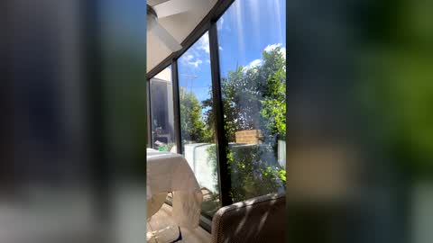 gracemeow online show from 04/27/26, 03:26