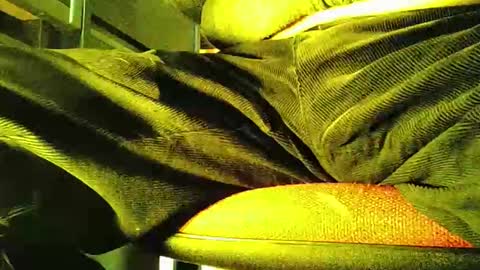 grapefruit online show from 11/05/25, 12:05