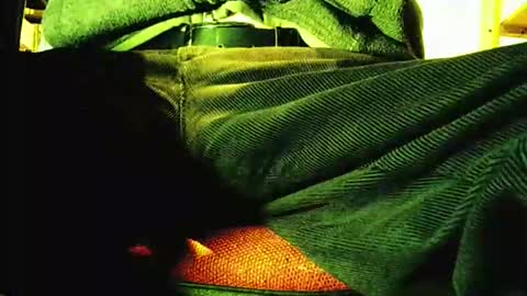 grapefruit online show from 11/12/25, 09:21