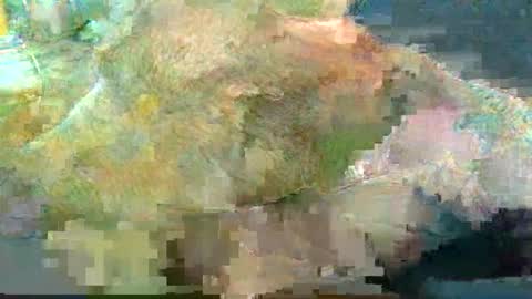 greatbiggs6969 online show from 01/02/25, 02:35