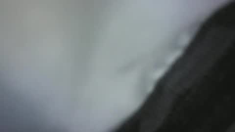 Green Robin Hood online show from 12/02/24, 04:42