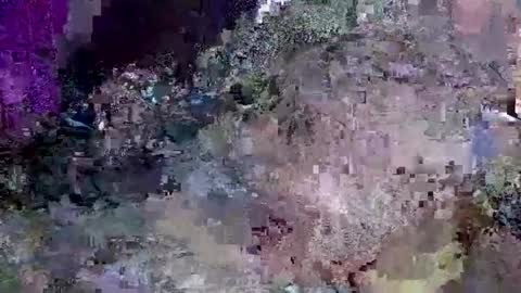 Jack online show from 01/16/25, 11:48