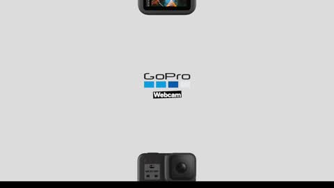 Snapshot of greenlungs8195 chatting on 12/09/24, 07:06 Greenlungs8195 online show from 12/09/24, 07:06