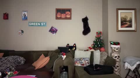 Snapshot of greenxxxqueen chatting on 11/24/25, 05:51 SexQueen Nikki online show from 11/24/25, 05:51