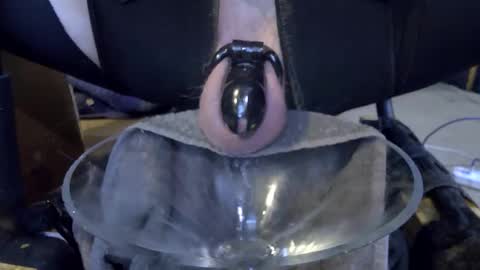 electrogee1 online show from 02/22/26, 11:47