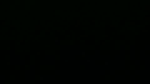 greyfox_6000 online show from 02/25/25, 04:21