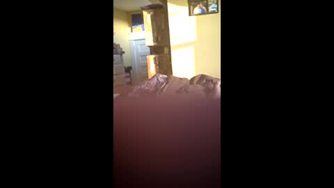 Snapshot of grizzely1975 chatting on 11/24/25, 02:06 grizzely1975 online show from 11/24/25, 02:06