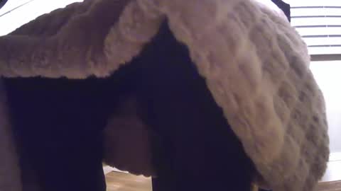 grower2153 online show from 11/24/25, 12:05