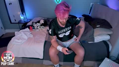 Snapshot of growingcub94 chatting on 11/11/25, 10:21 Alpha pup online show from 11/11/25, 10:21