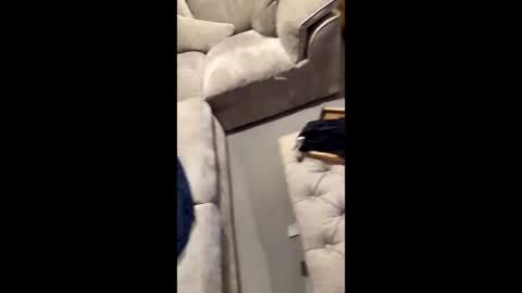 Snapshot of gt79802068 chatting on 11/11/25, 07:03 gt79802068 online show from 11/11/25, 07:03