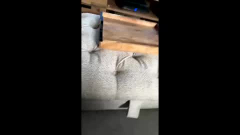 Snapshot of gt79802068 chatting on 11/22/25, 12:04 gt79802068 online show from 11/22/25, 12:04